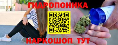 прущие крисы Дубна