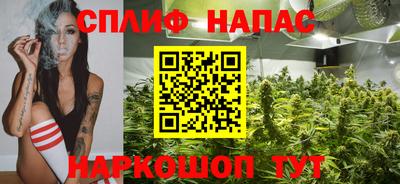 прущие грибы Донецк